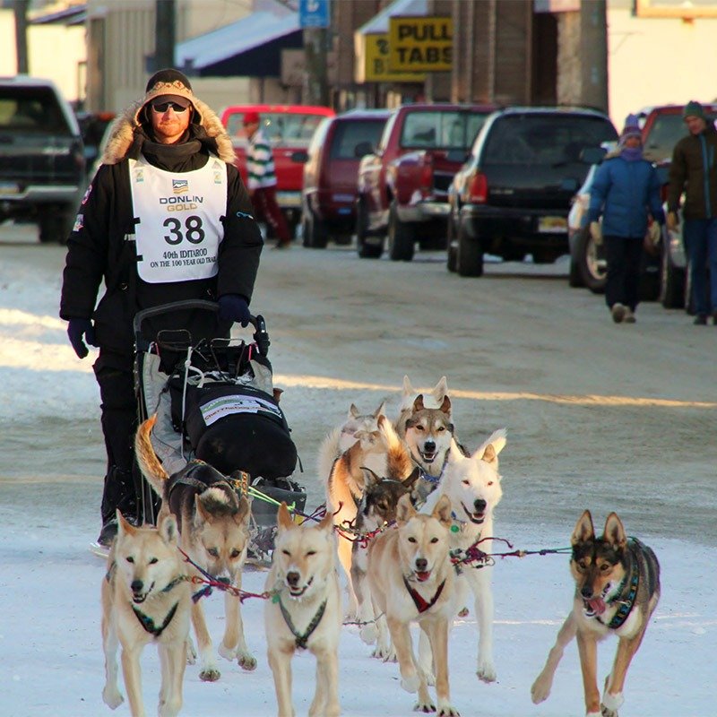 Snowhook Racing 40th Iditarod