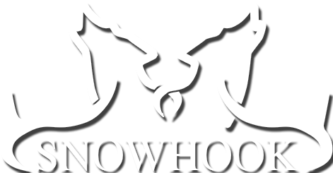 SAGA Logo SH WHITE SHADOW