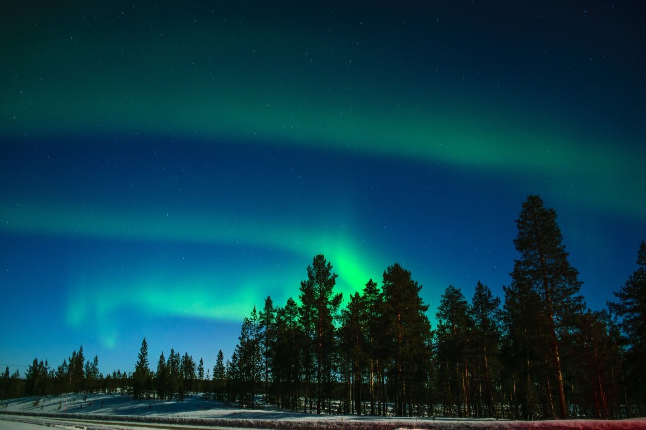 Forrest and Northern Lights