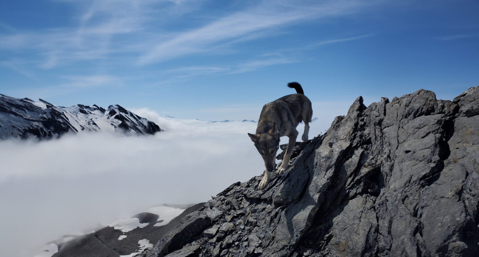 Book your Snowhook Adventure