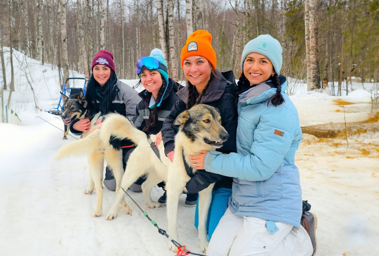 Snowhook Dogs - Group 13