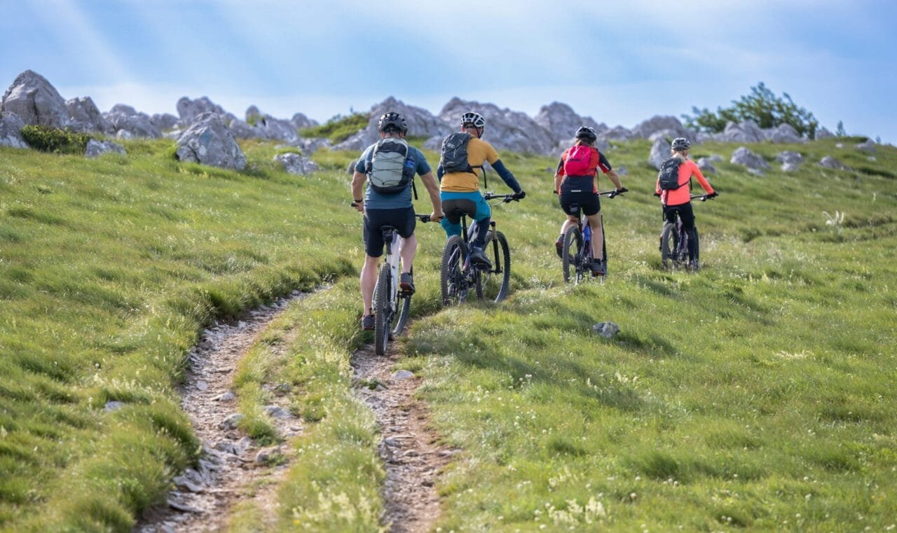 Snowhook E-bike Tour 11