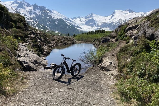 bird-to-gird-trail-4