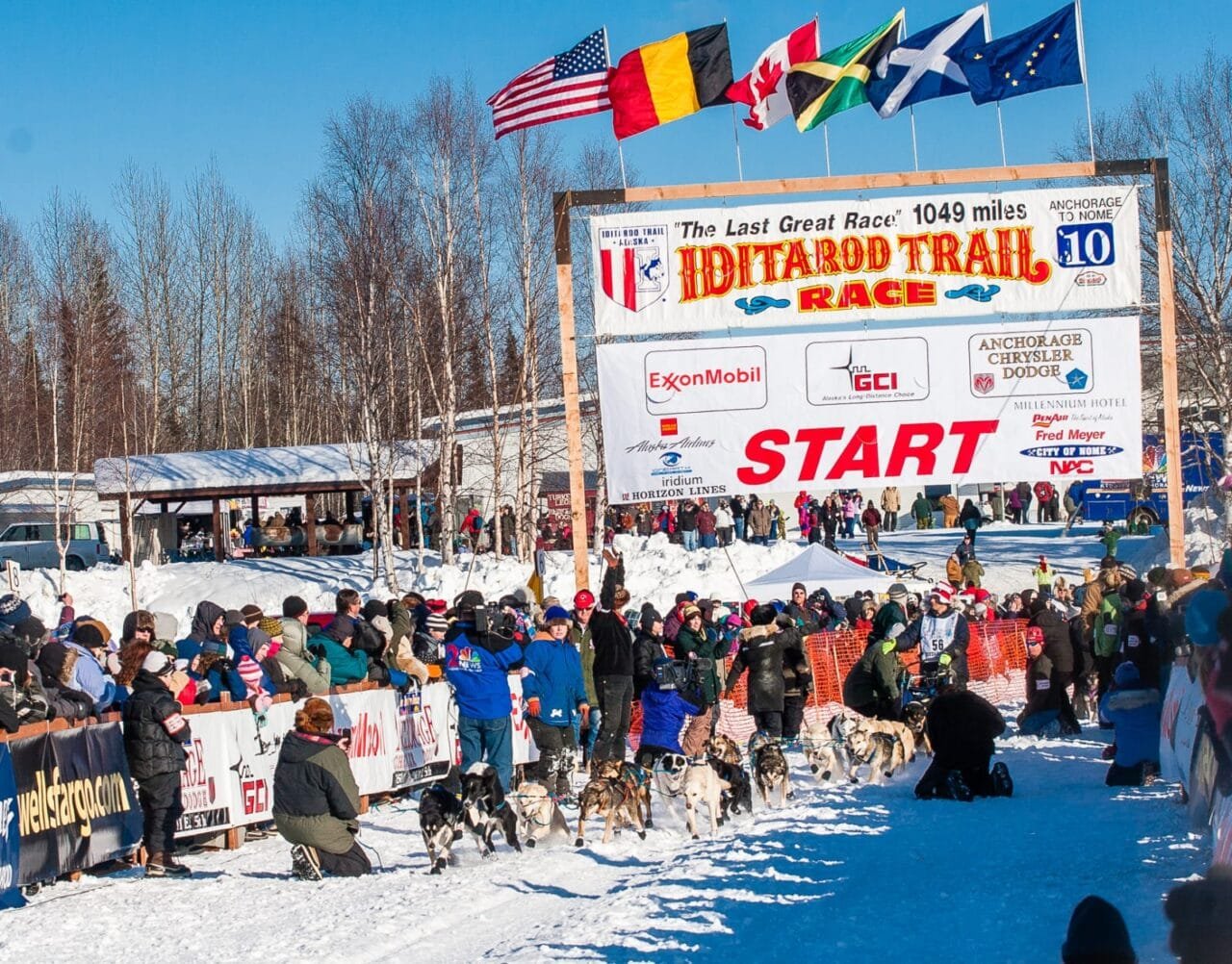Snowhook iditarod 08
