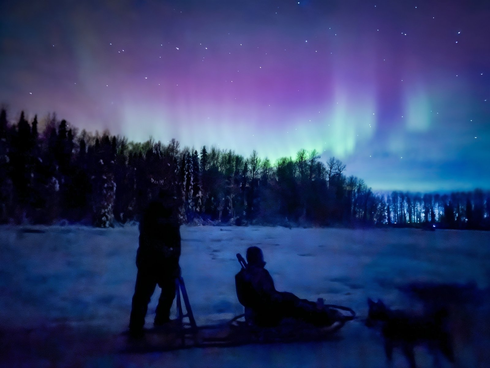 Book your Snowhook Adventure