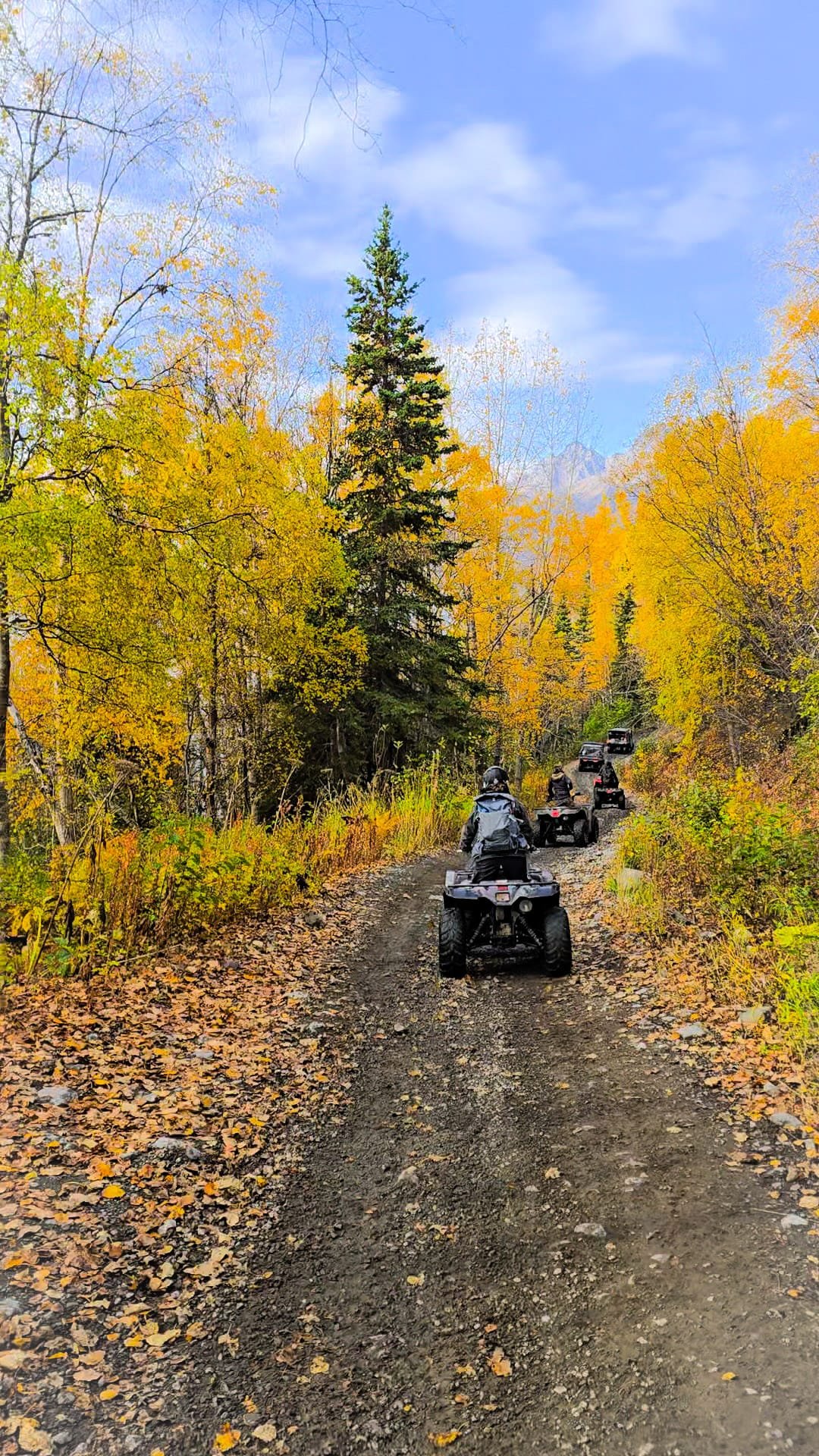 Book your Snowhook Adventure