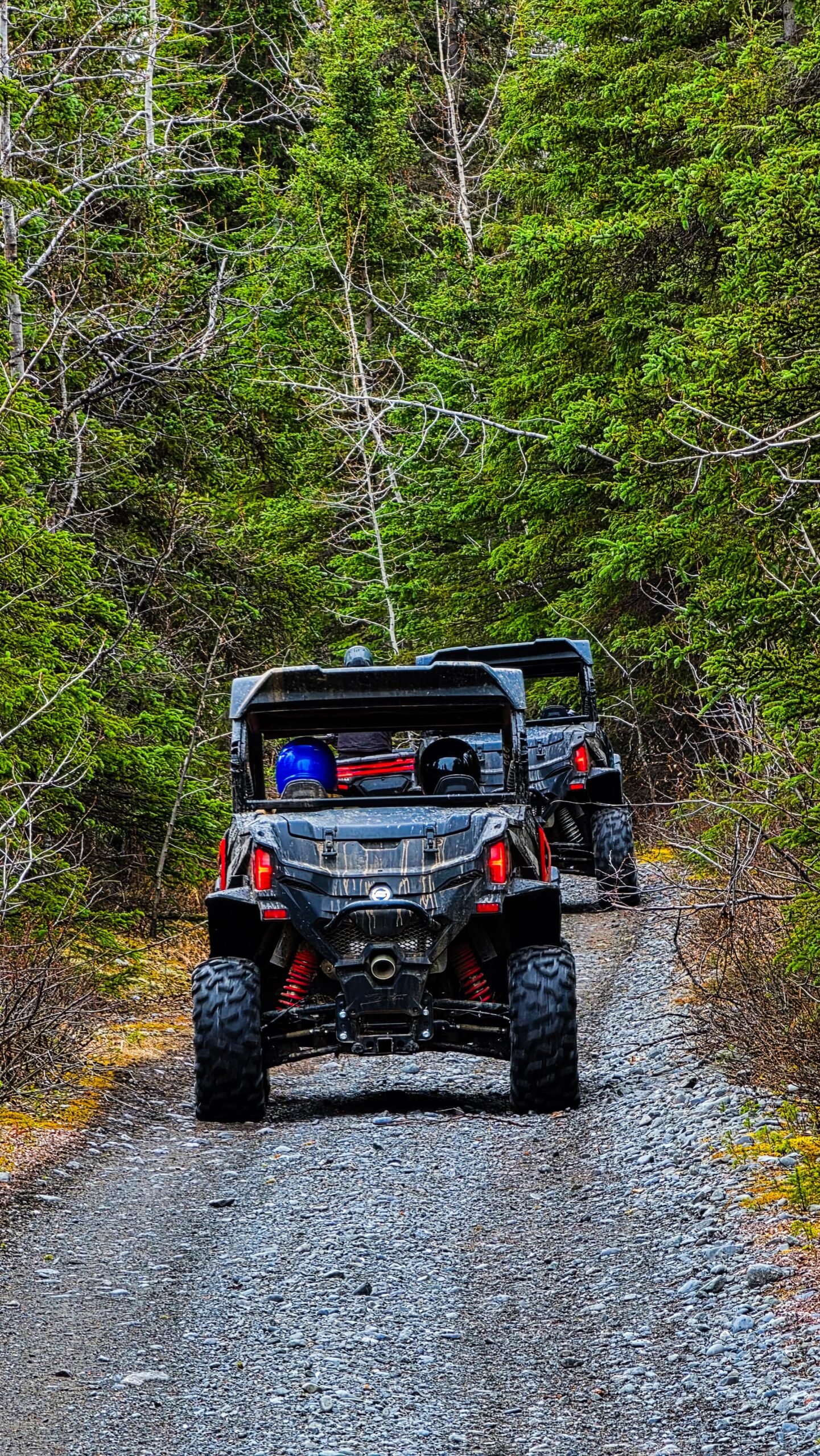 Book your Snowhook Adventure